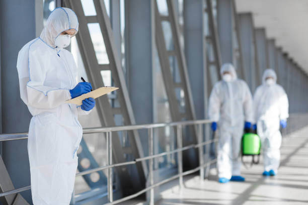 Best Mold Odor Removal Services  in Marionville, MO